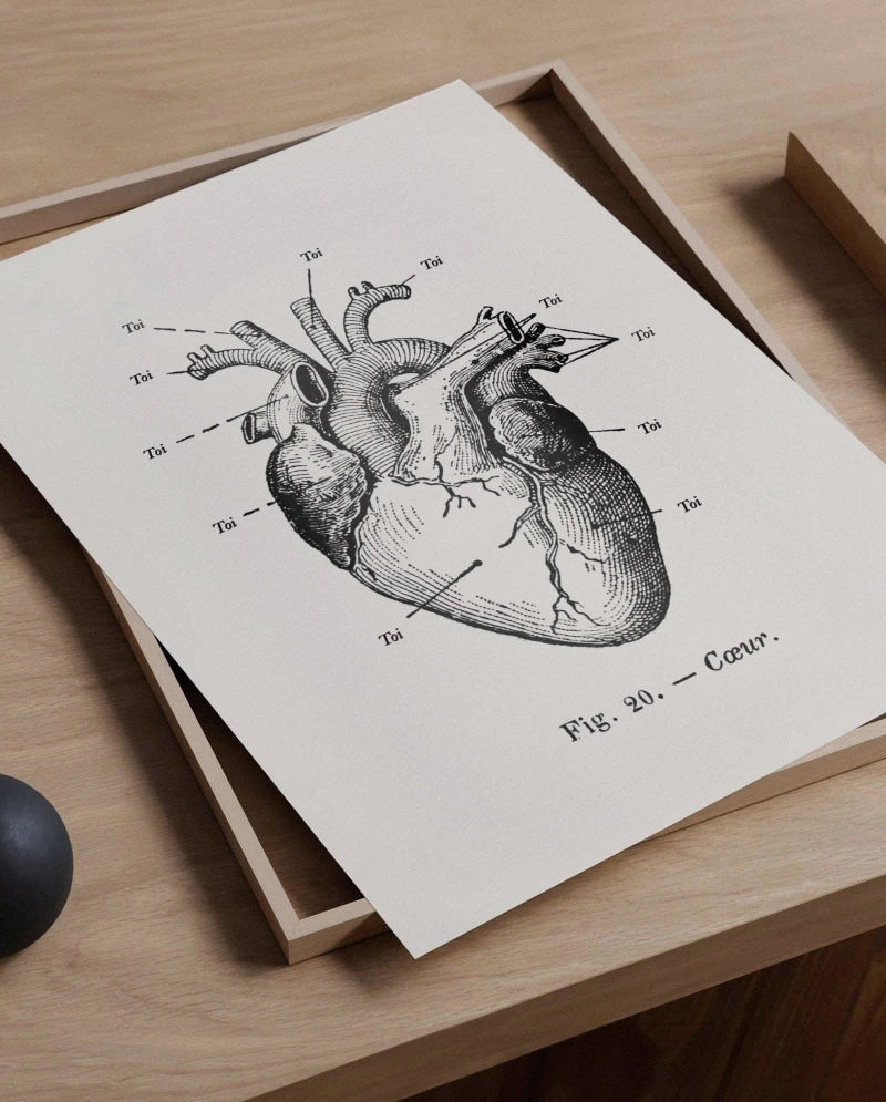 Anatomie de mon cœur | Affiche