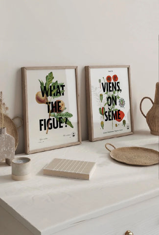 What the figue ? | Affiche botanique