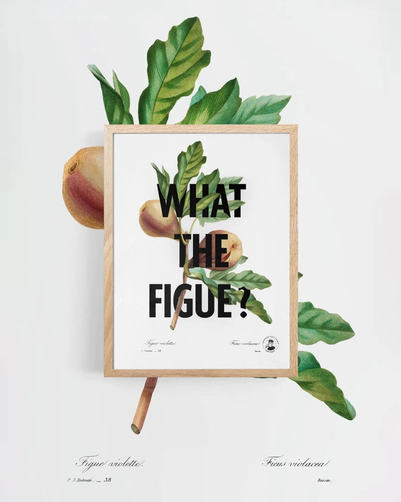 What the figue ? | Affiche botanique