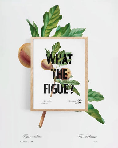 What the figue ? | Affiche botanique