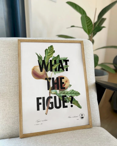 What the figue ? | Affiche botanique