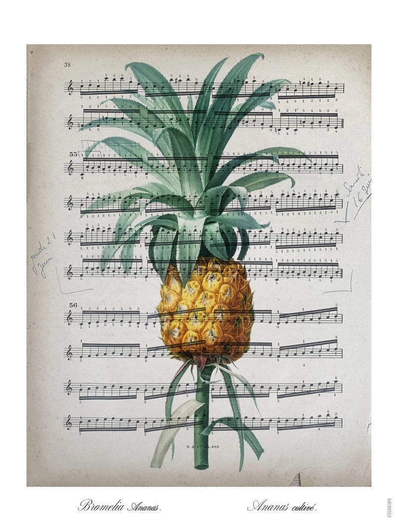 Partition · Ananas | Affiche