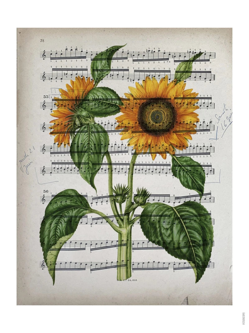 Partition · Tournesol | Affiche
