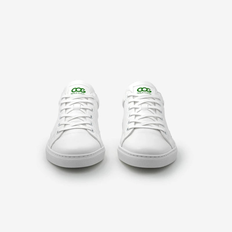 Winton - Blanc Vert