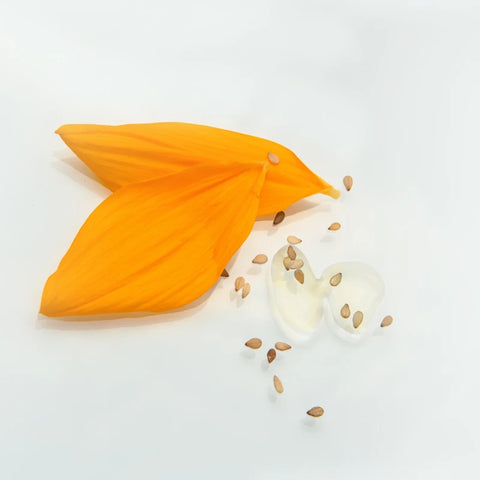 Coffret Combo Naturel