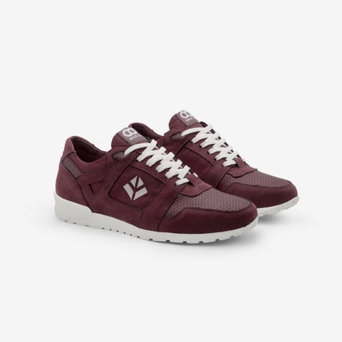 Raven - Bordeaux H