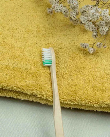 Pack de 3 brosses à dents