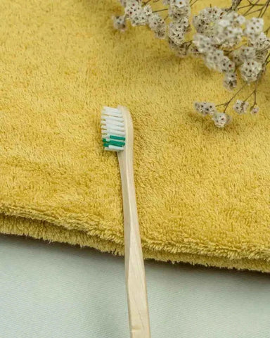 Pack de 3 brosses à dents