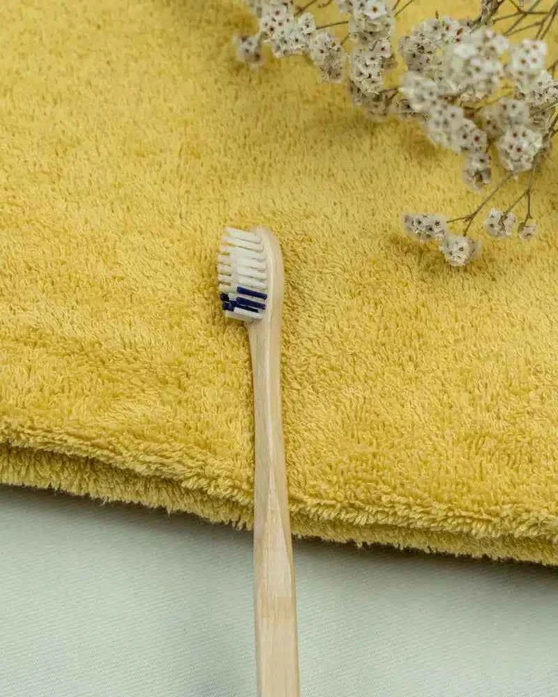 Pack de 3 brosses à dents