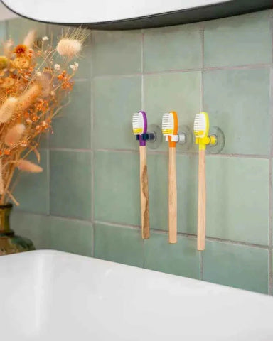 Porte-brosse à dents ventouses - Clips à l'unité