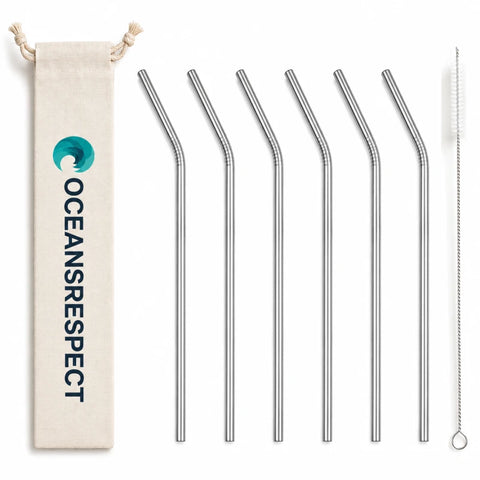Lot de 6 pailles courbées en inox + 1 goupillon + 1 pochette en coton offerte