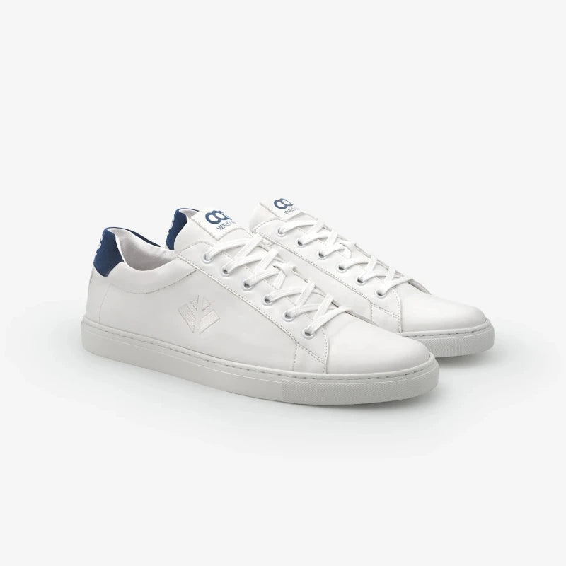 Winton - Blanc Bleu