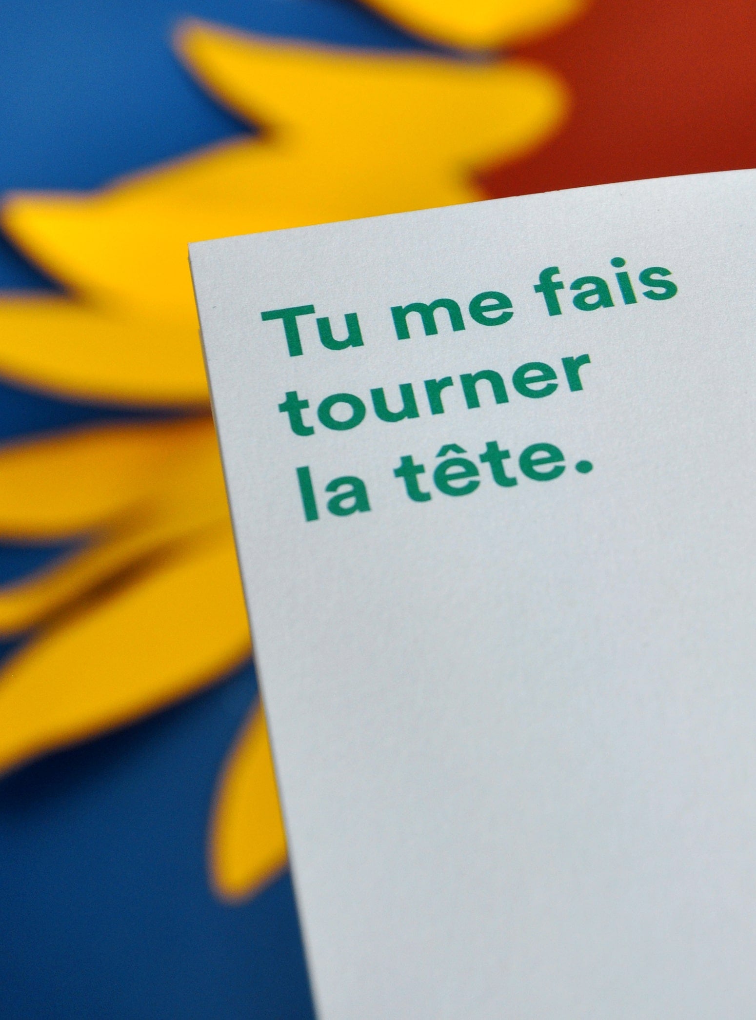 Carnets de Voyage illustrés Collection Fleur - Meanwhile Boutique