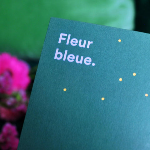 Carnets de Voyage illustrés Collection Fleur - Meanwhile Boutique