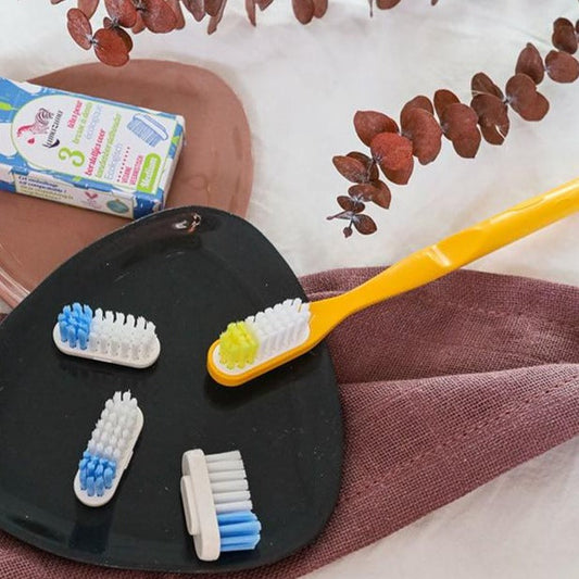 Brosse à dents zéro dechet rechargeable